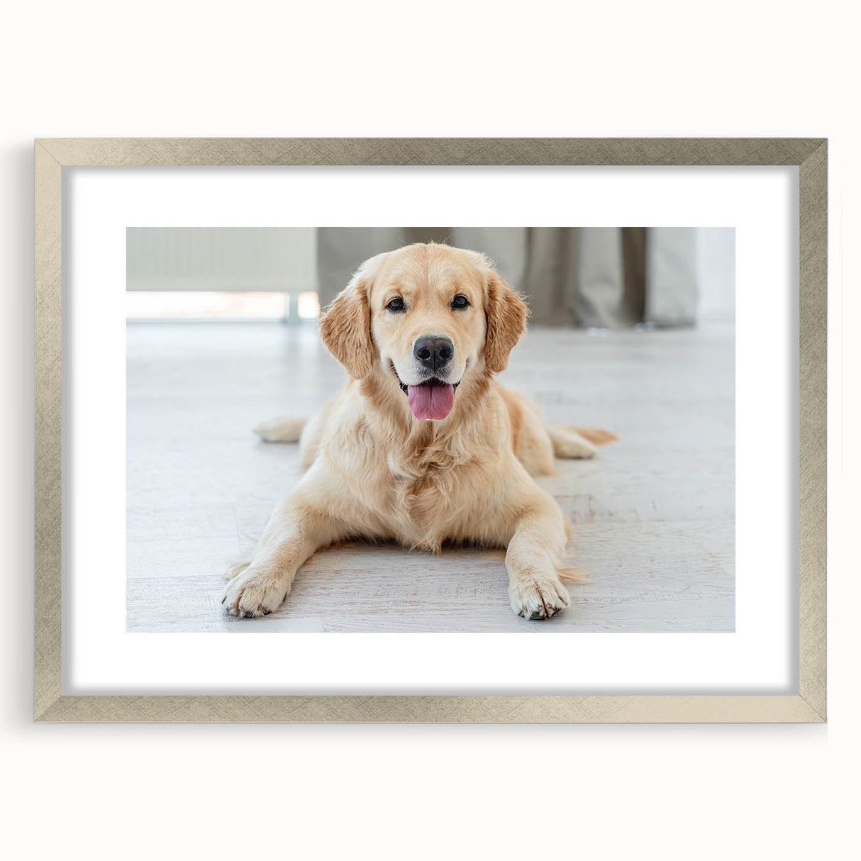 Framed wall art collection featuring a striking dog design with a silver mat, perfect for animal lovers and home decor enthusiasts. Ideal for enhancing any living space.