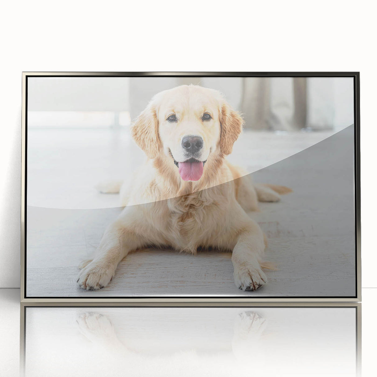 Framed wall art collection showcasing a vibrant dog design with a silver acrylic front, perfect for animal lovers and modern home decor. The artwork features playful colors and detailed illustrations, ideal for enhancing any living space.