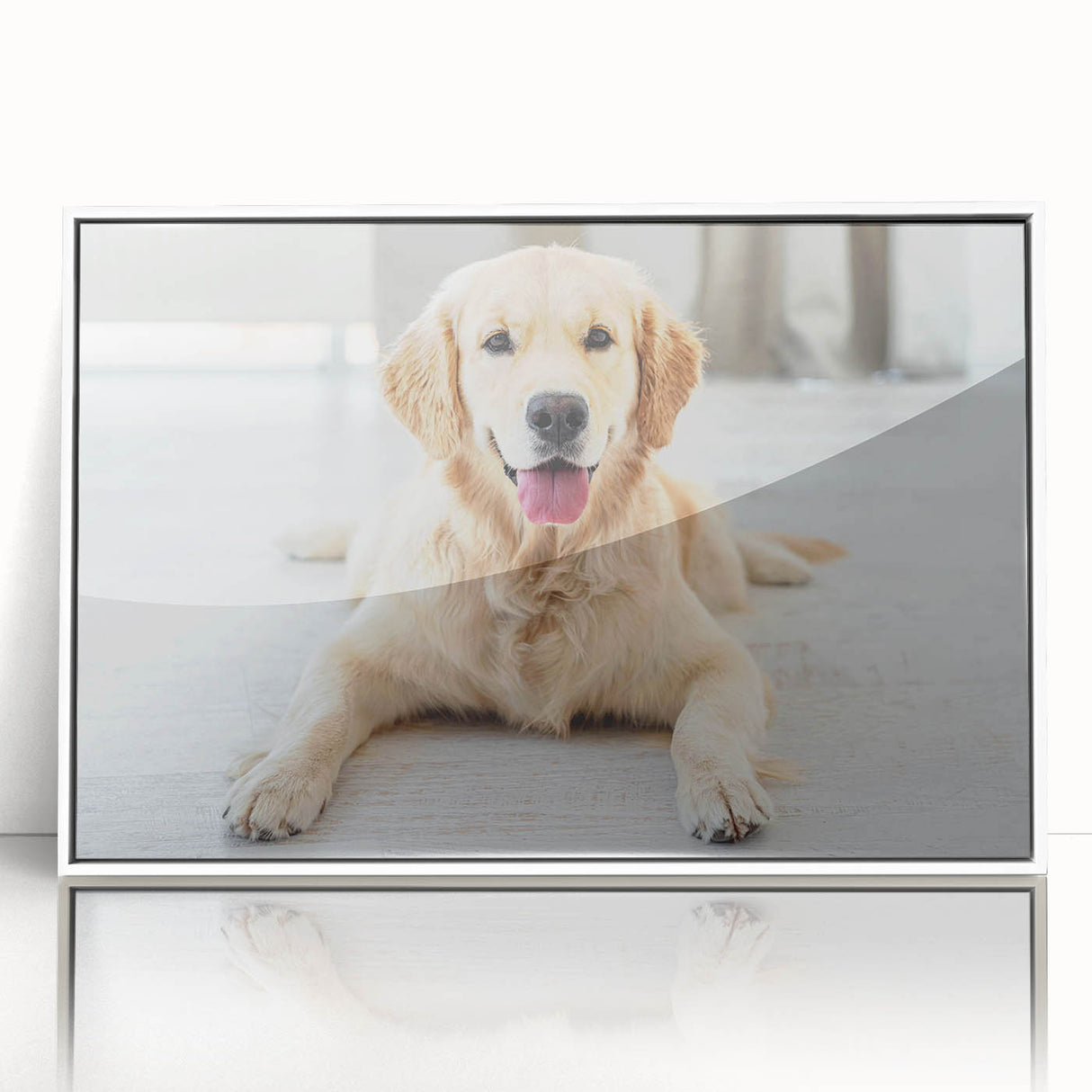 Framed acrylic wall art showcasing a vibrant design of wild dogs in a natural setting, featuring a sleek white frame for modern decor. Perfect for animal lovers.