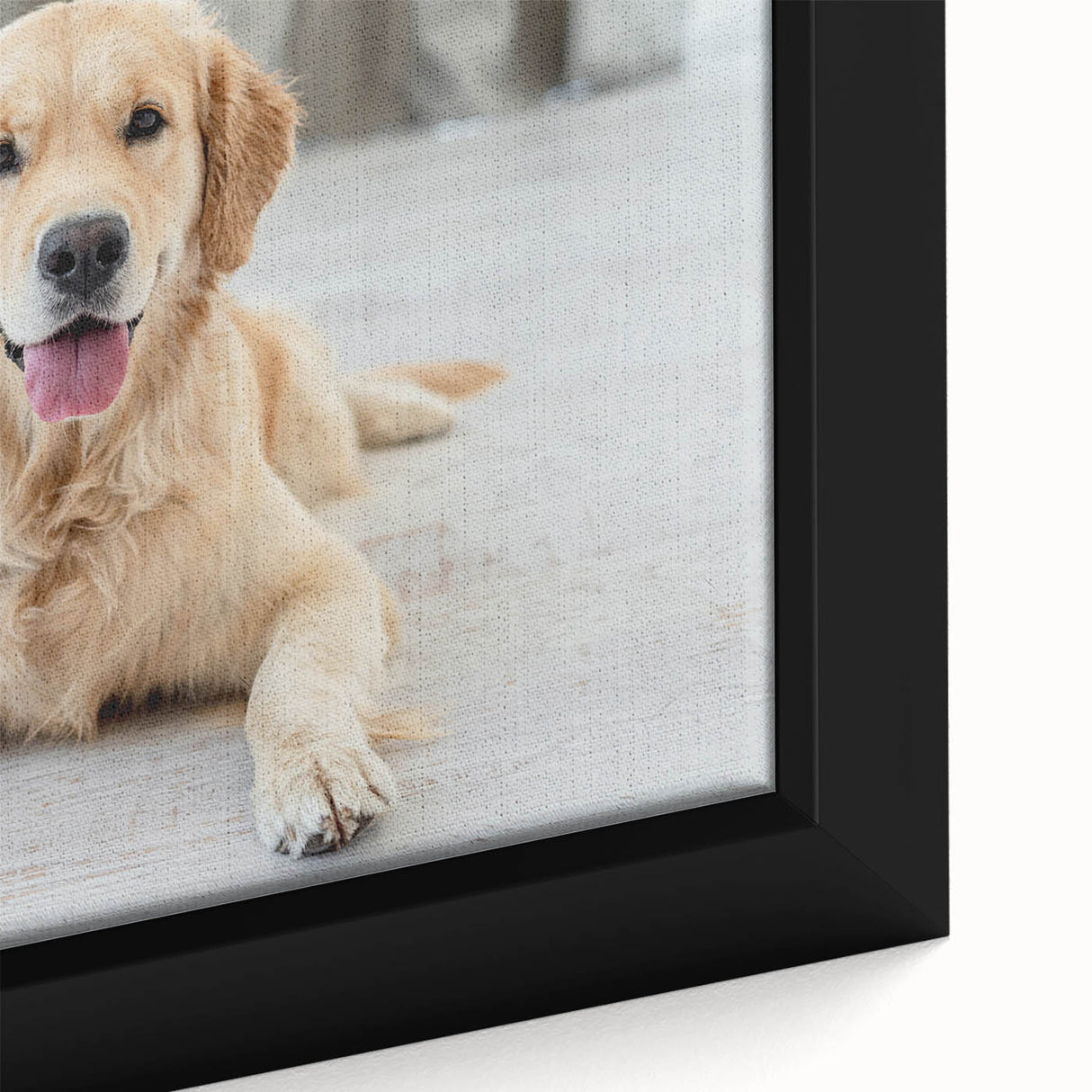 Close-up of a framed canvas wall art featuring a realistic dog design, showcasing intricate details and vibrant colors, perfect for animal lovers and home decor.