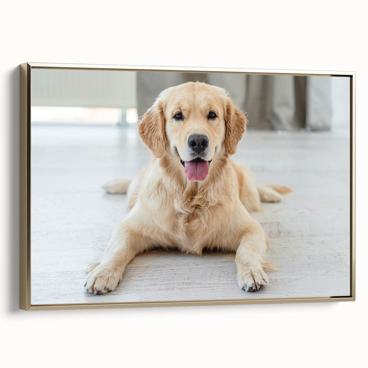 Framed canvas wall art showcasing a vibrant dog design with a gold frame, perfect for animal lovers and home decor enthusiasts, displayed from a side view.
