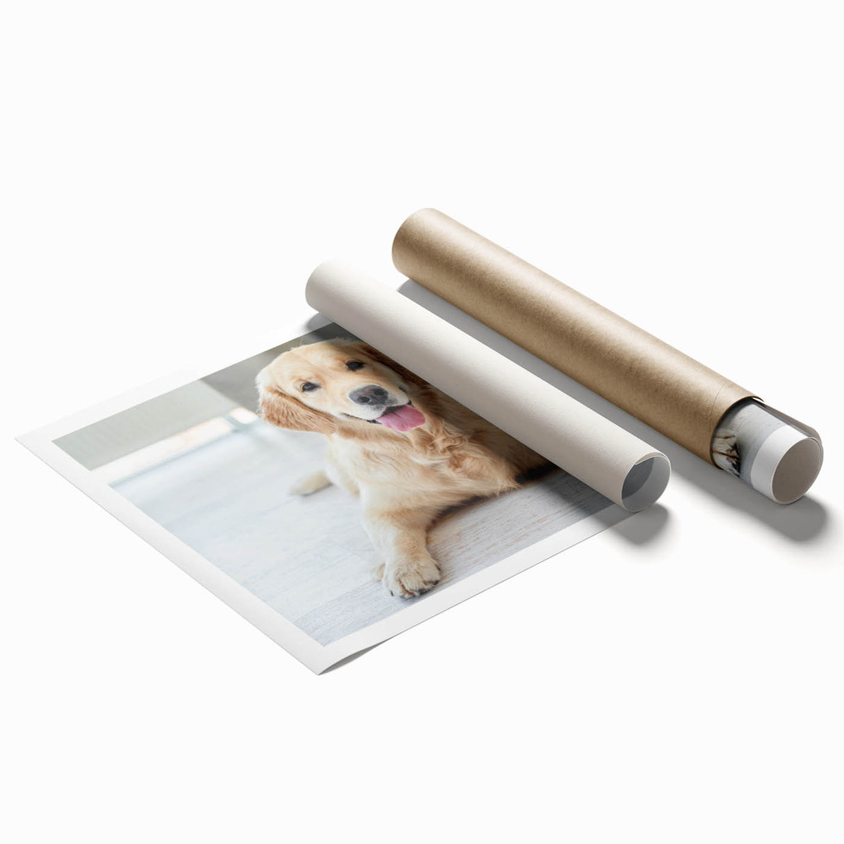 Vibrant rolled print showcasing a collection of whimsical dog illustrations on a textured background, perfect for animal lovers and home decor enthusiasts.