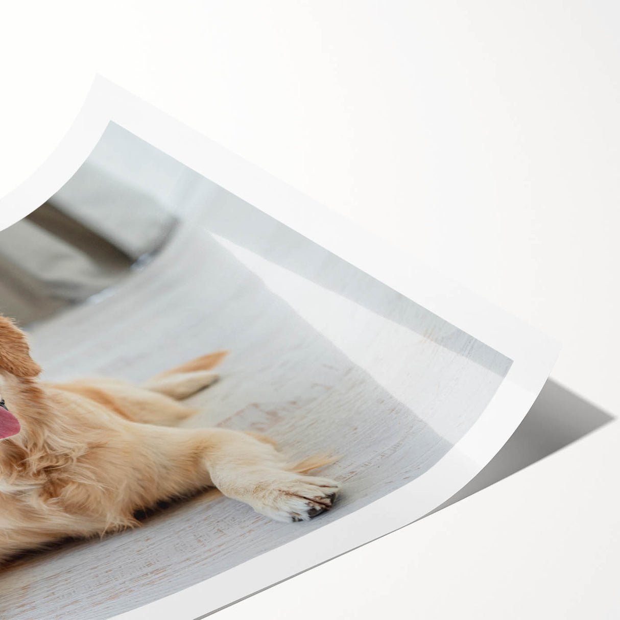 Rolled print of a vibrant dog-themed wall art design showcasing various breeds in a colorful, playful style, ideal for animal lovers and home decor enthusiasts. Perfect for adding a cheerful touch to any space.