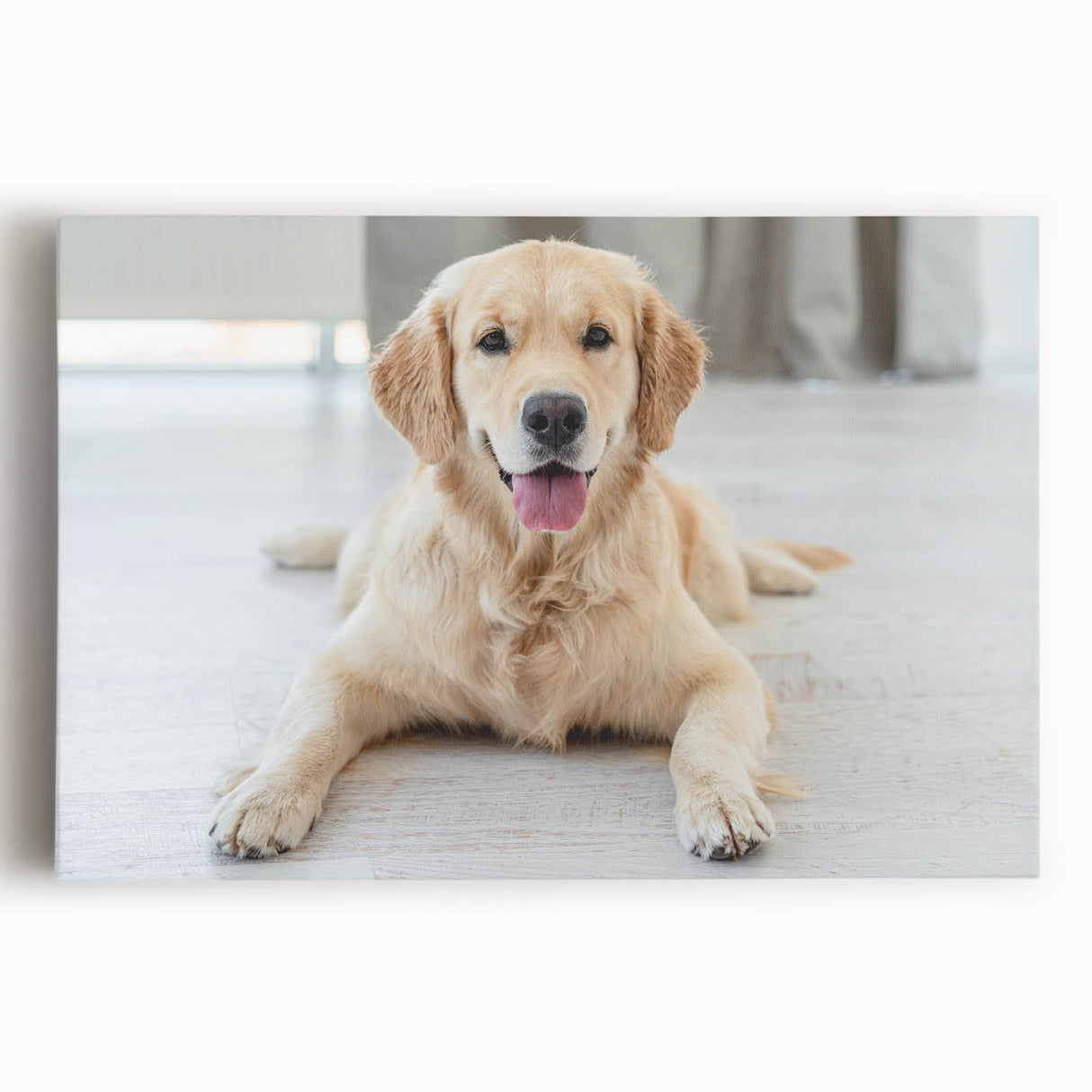 Stretched canvas wall art featuring a vibrant dog design, showcasing playful canine illustrations in various colors, perfect for animal lovers' decor.