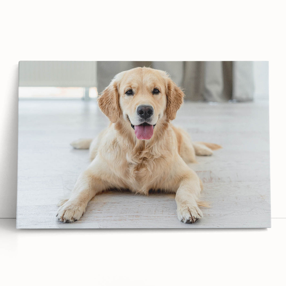 Stretched canvas wall art featuring a playful design of various dog breeds in vibrant colors, leaning against a white wall, ideal for pet lovers’ home decor.