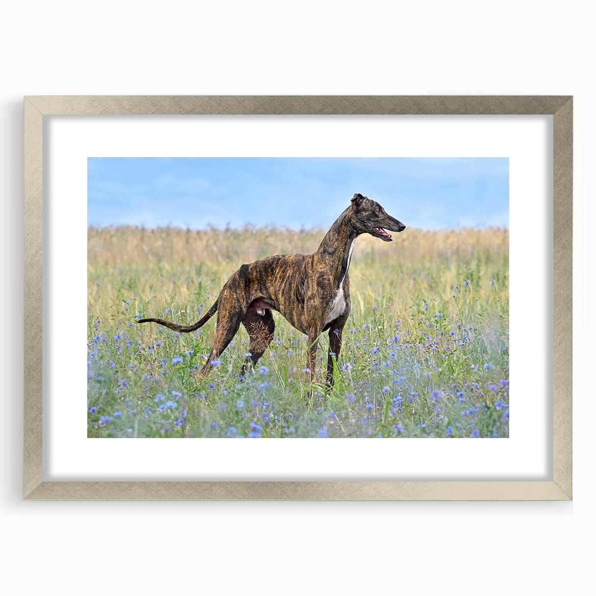 Silver-framed wall art collection featuring five artistic designs of dogs in a wild-life theme, showcasing vibrant colors and intricate details, perfect for animal lovers.