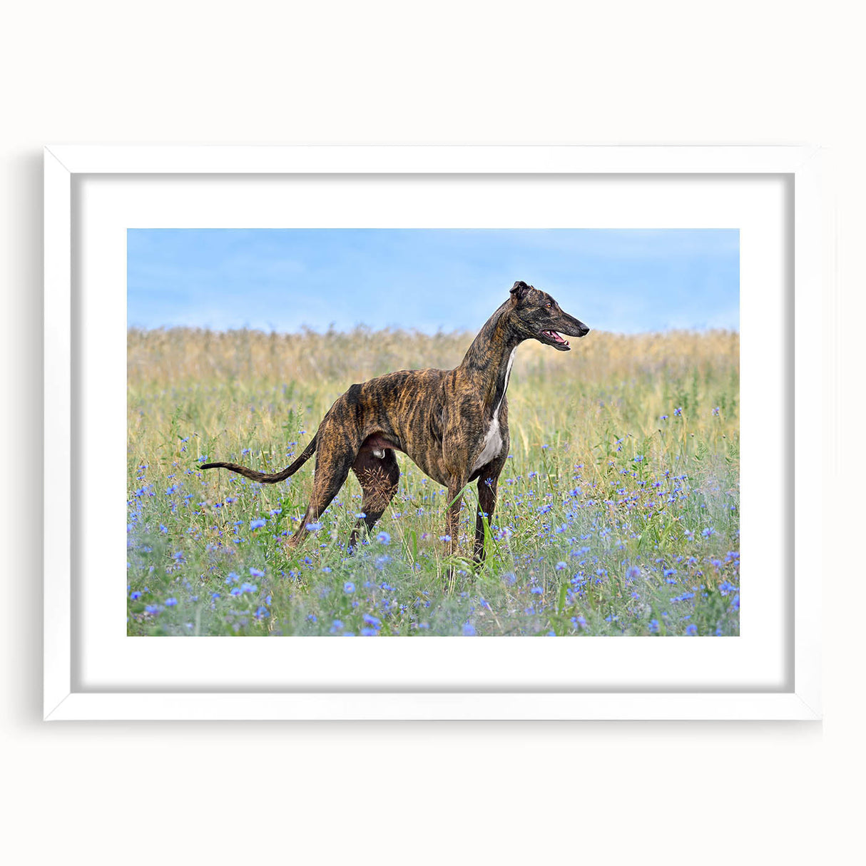 Framed wall art collection showcasing a vibrant design of various dog breeds, featuring a white mat and sleek frame, perfect for animal lovers and home decor.