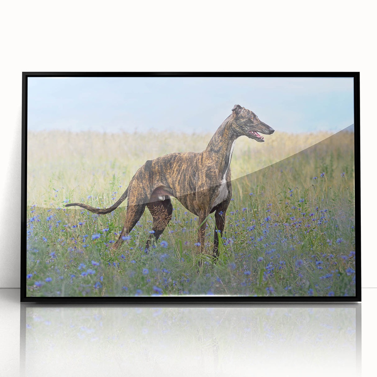 Framed acrylic wall art featuring a vibrant dog design, showcasing playful colors and intricate patterns, ideal for animal lovers and home decor enthusiasts.