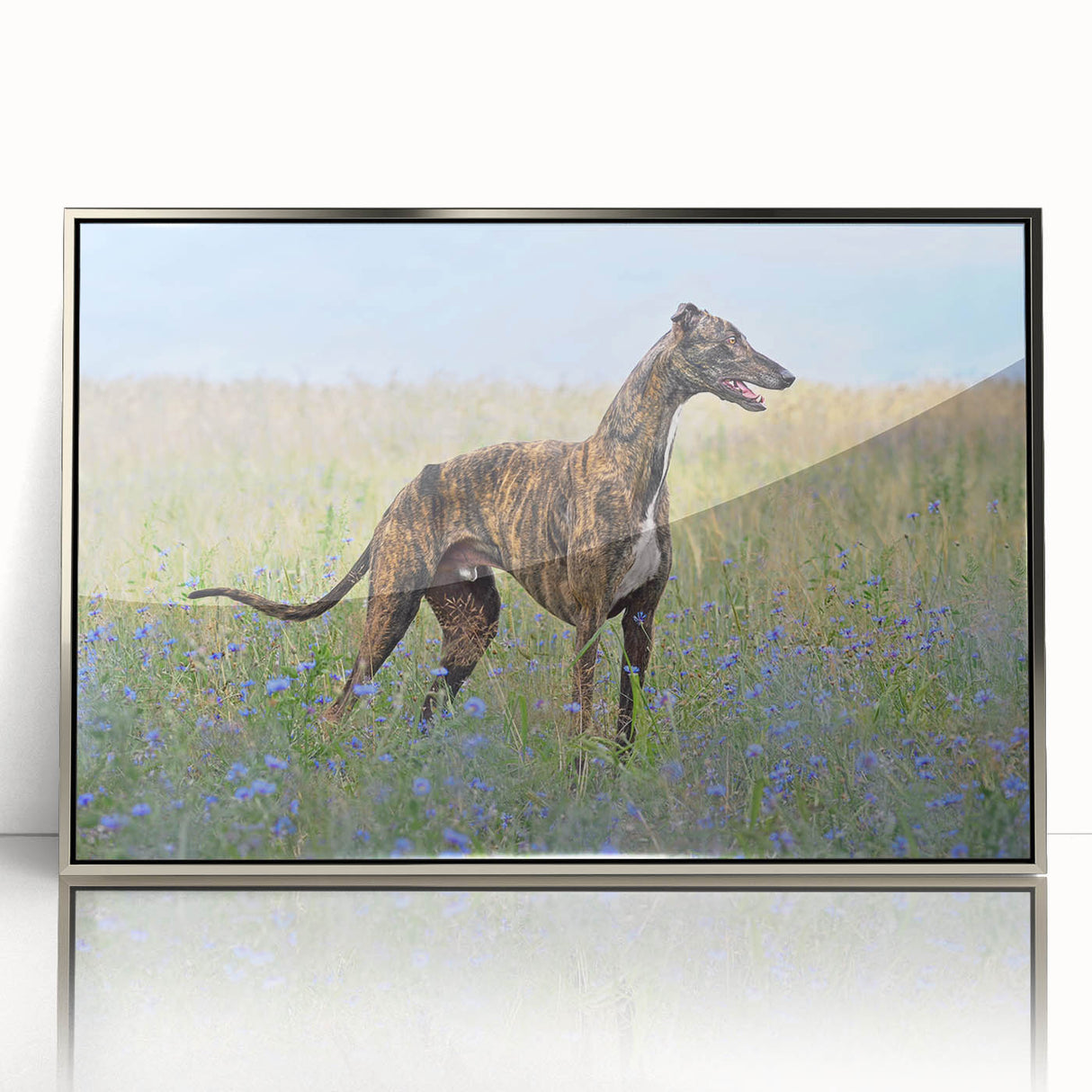 Framed wall art showcasing a vibrant design of playful dogs in a wild setting, featuring a sleek silver frame and acrylic front for a modern touch. Perfect for animal lovers and home decor enthusiasts looking to add a splash of color and personality to their space.
