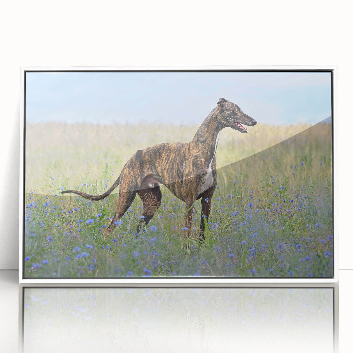 Framed wall art collection featuring an artistic design of various dog breeds in vibrant colors, displayed in a sleek white frame, perfect for pet lovers’ home decor.