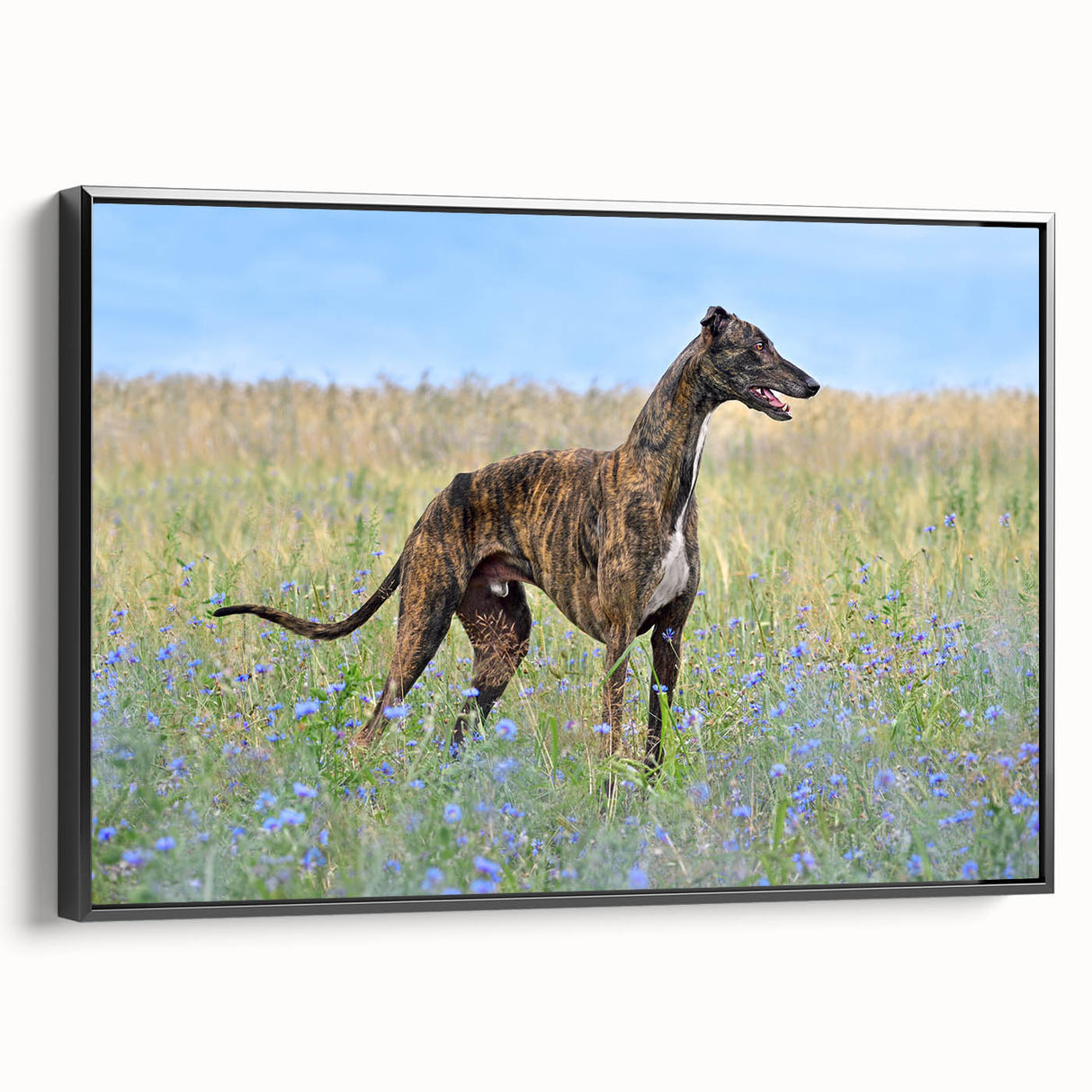 Framed wall art featuring a collection of five dog designs, showcasing vibrant colors and intricate details, displayed against a black background in a side view.
