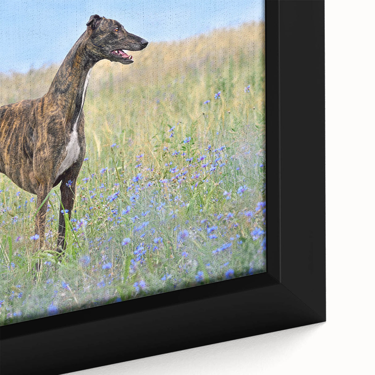 Close-up of a framed wall art piece featuring a colorful dog design from the "Animals a Wild Life" collection, showcasing vibrant colors and intricate details. Perfect for pet lovers and home decor enthusiasts.