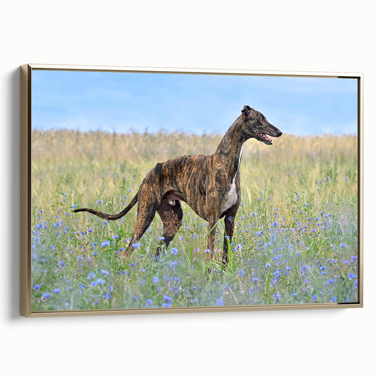 Framed wall art collection showcasing a vibrant dog design, featuring a gold frame and a textured canvas surface, ideal for animal lovers and home decor enthusiasts.