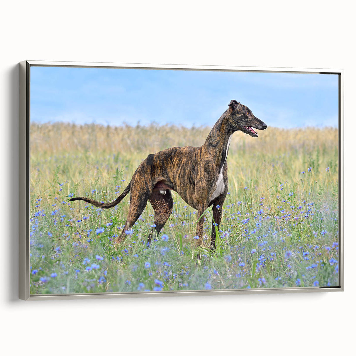 Framed wall art showcasing a playful dog design in vibrant colors, set against a silver background, perfect for adding a whimsical touch to pet lovers' decor.