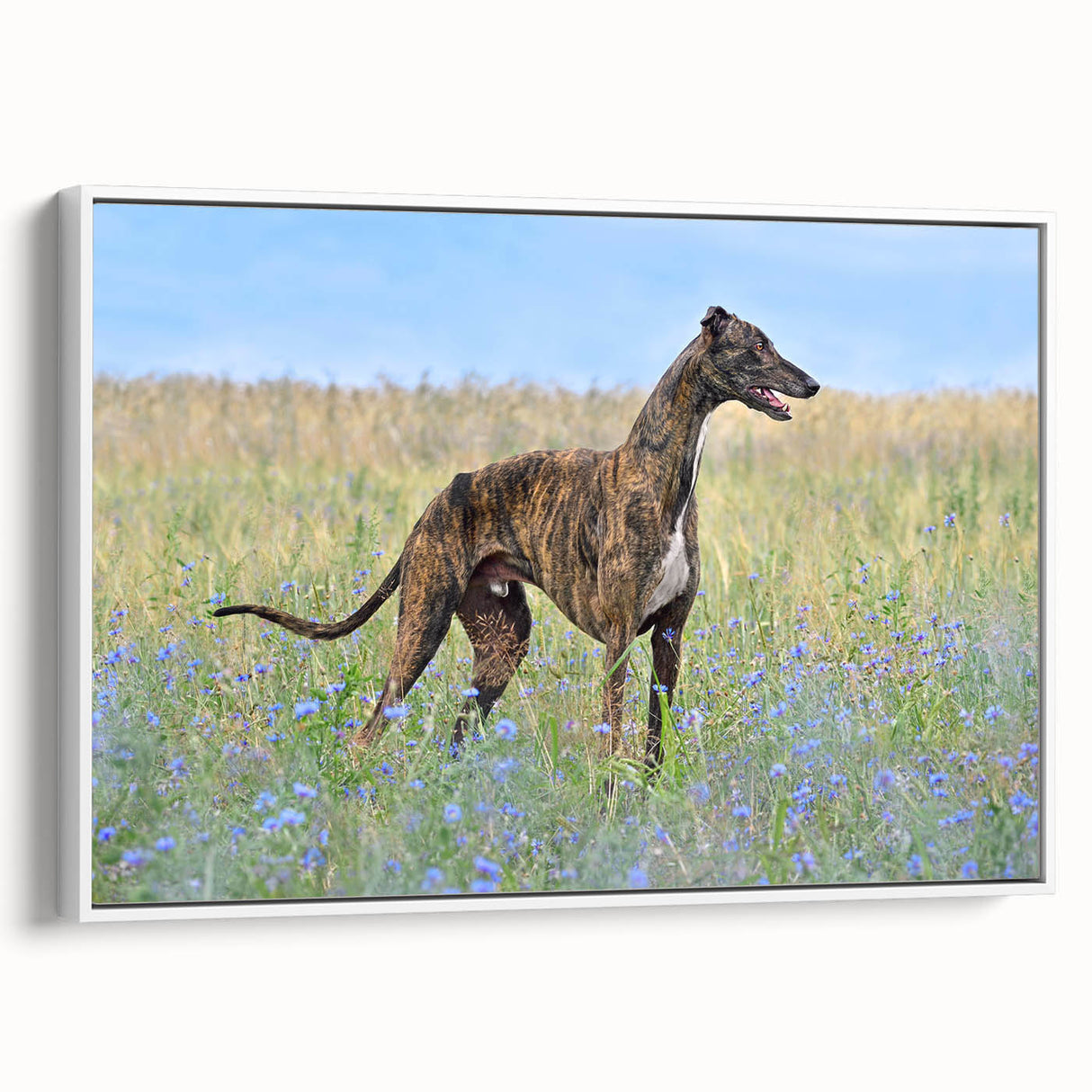 Framed canvas wall art featuring a vibrant design of wild dogs, showcasing rich colors and intricate details, ideal for animal lovers and home decor enthusiasts.