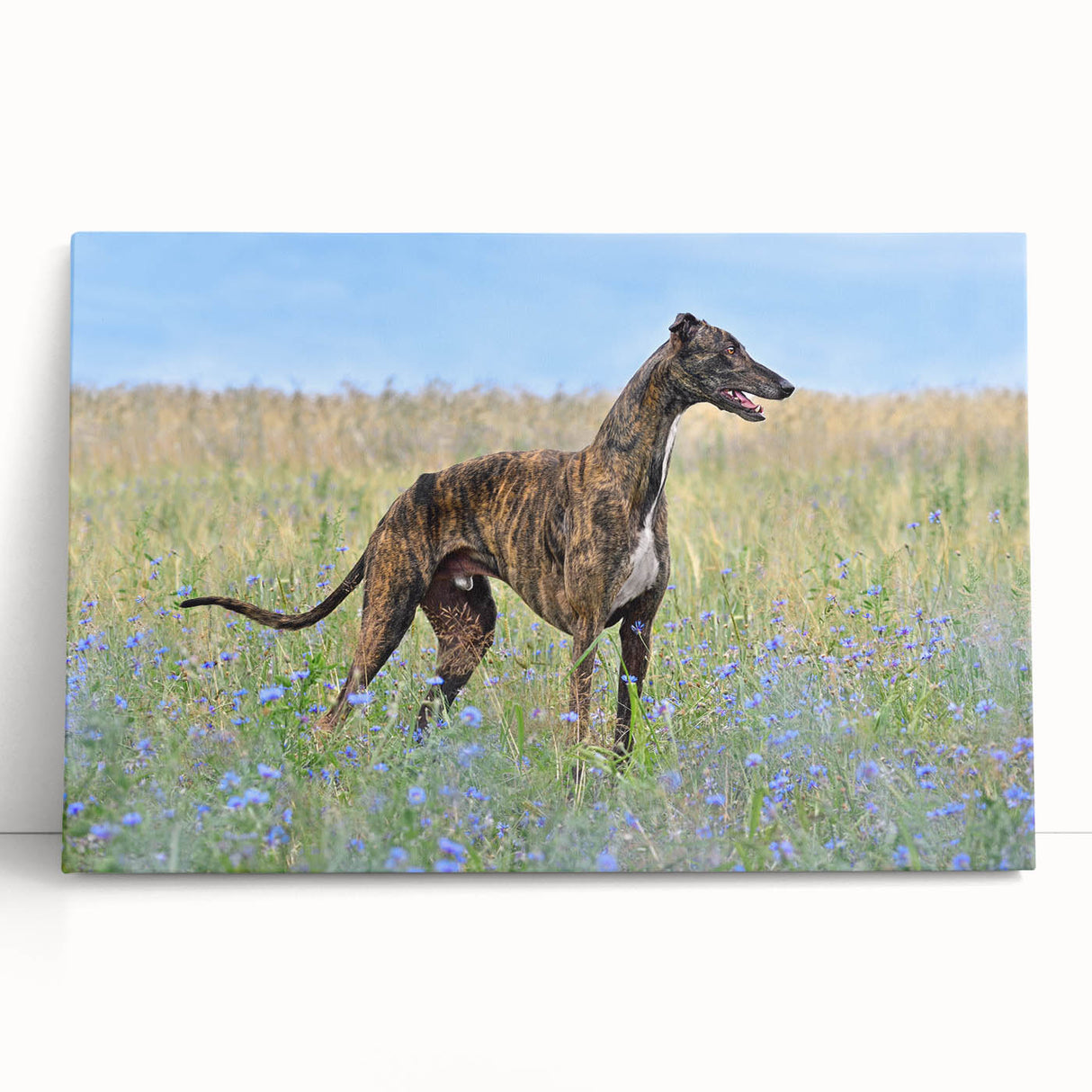 Stretched canvas wall art depicting a vibrant design of various dog breeds in a playful arrangement, perfect for animal lovers and home decor enthusiasts.