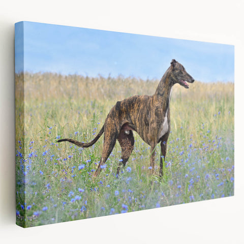 Stretched canvas wall art featuring a vibrant dog design in a wild-life theme, showcasing colorful patterns and textures against a neutral background.