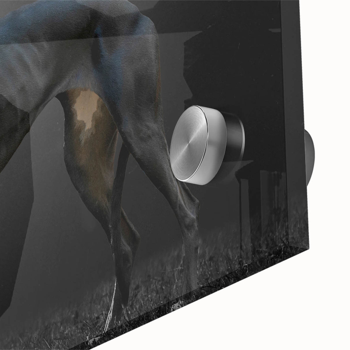 Close-up view of a vibrant acrylic glass wall art piece featuring a striking design of wild dogs, showcasing intricate details and colors, perfect for animal lovers' decor.