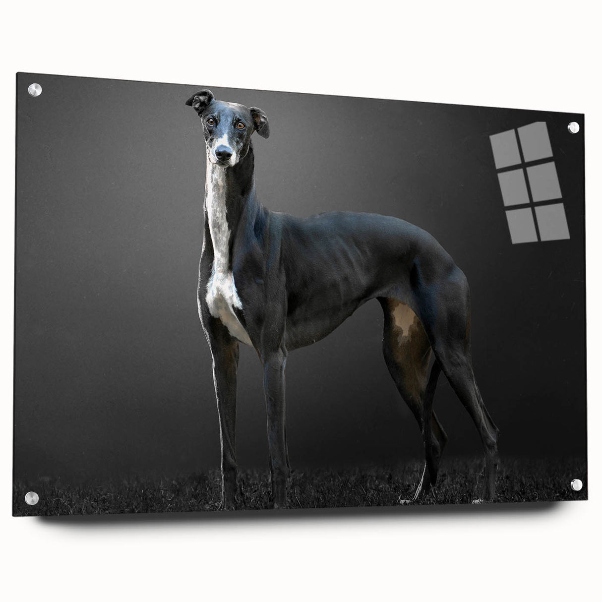 Acrylic wall art collection showcasing a vibrant design of various dog breeds in a side view, mounted with pins for display, featuring bright colors and intricate details.