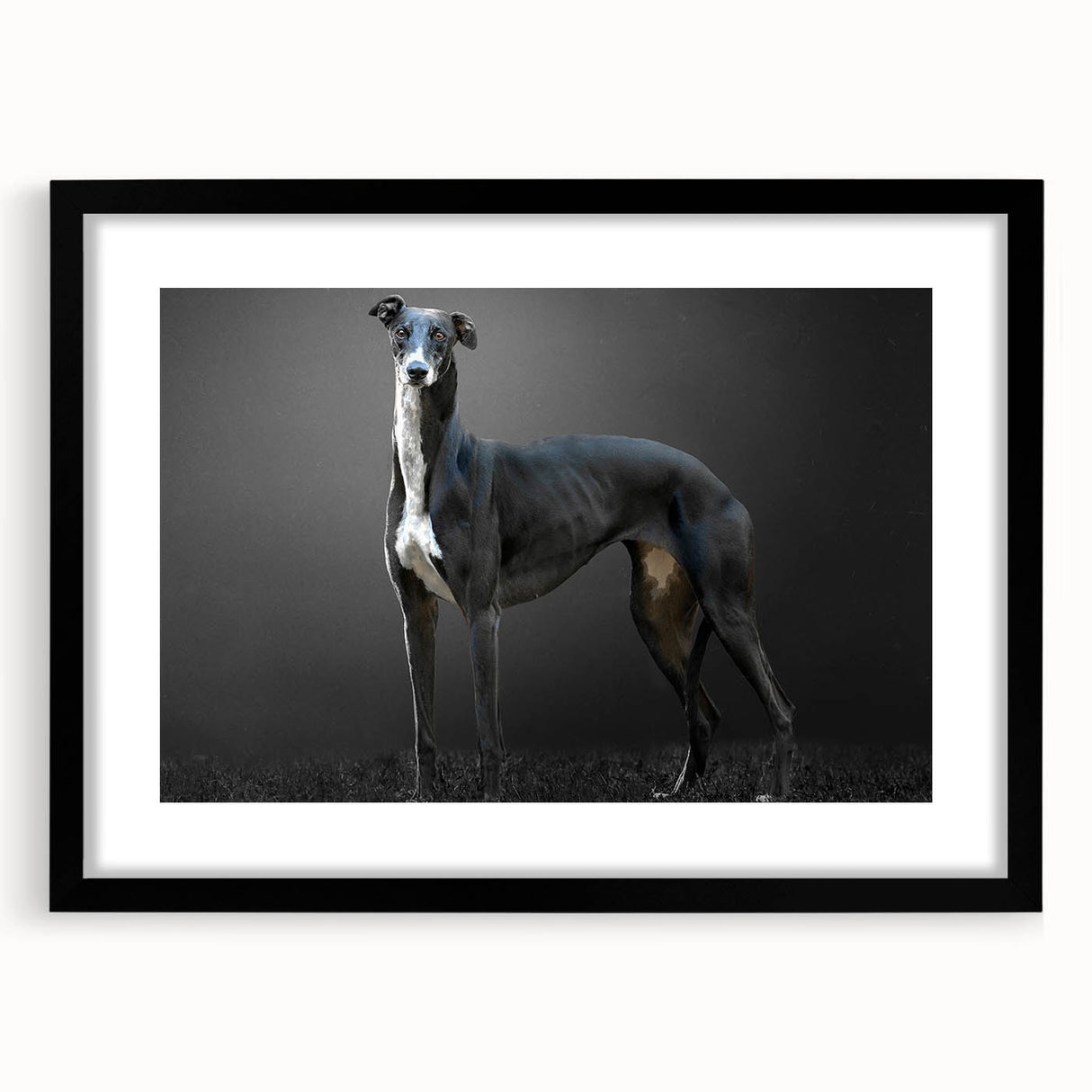 Framed wall art collection featuring vibrant dog designs in a black mat showcase, perfect for animal lovers, enhancing home decor with playful charm.