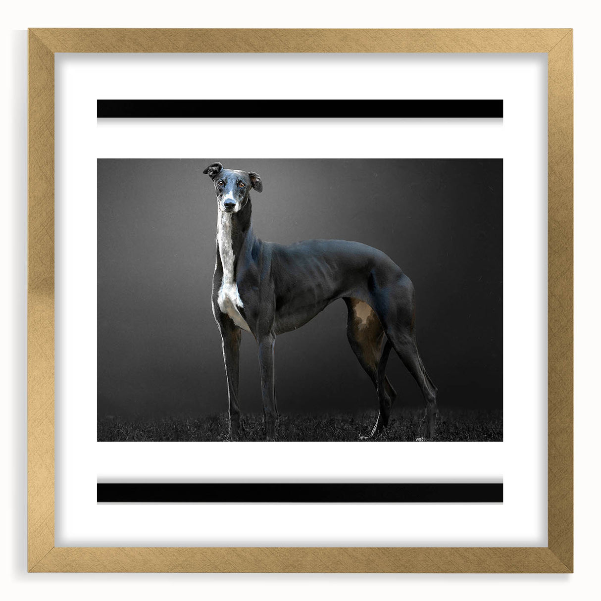 Framed wall art collection featuring a gold mat showcasing a vibrant design of wild dogs in their natural habitat, ideal for animal lovers and home decor enthusiasts.