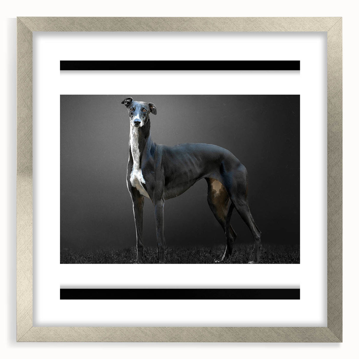 Silver-framed wall art collection featuring six vibrant dog designs, showcasing various breeds in playful poses, perfect for animal lovers' home decor.