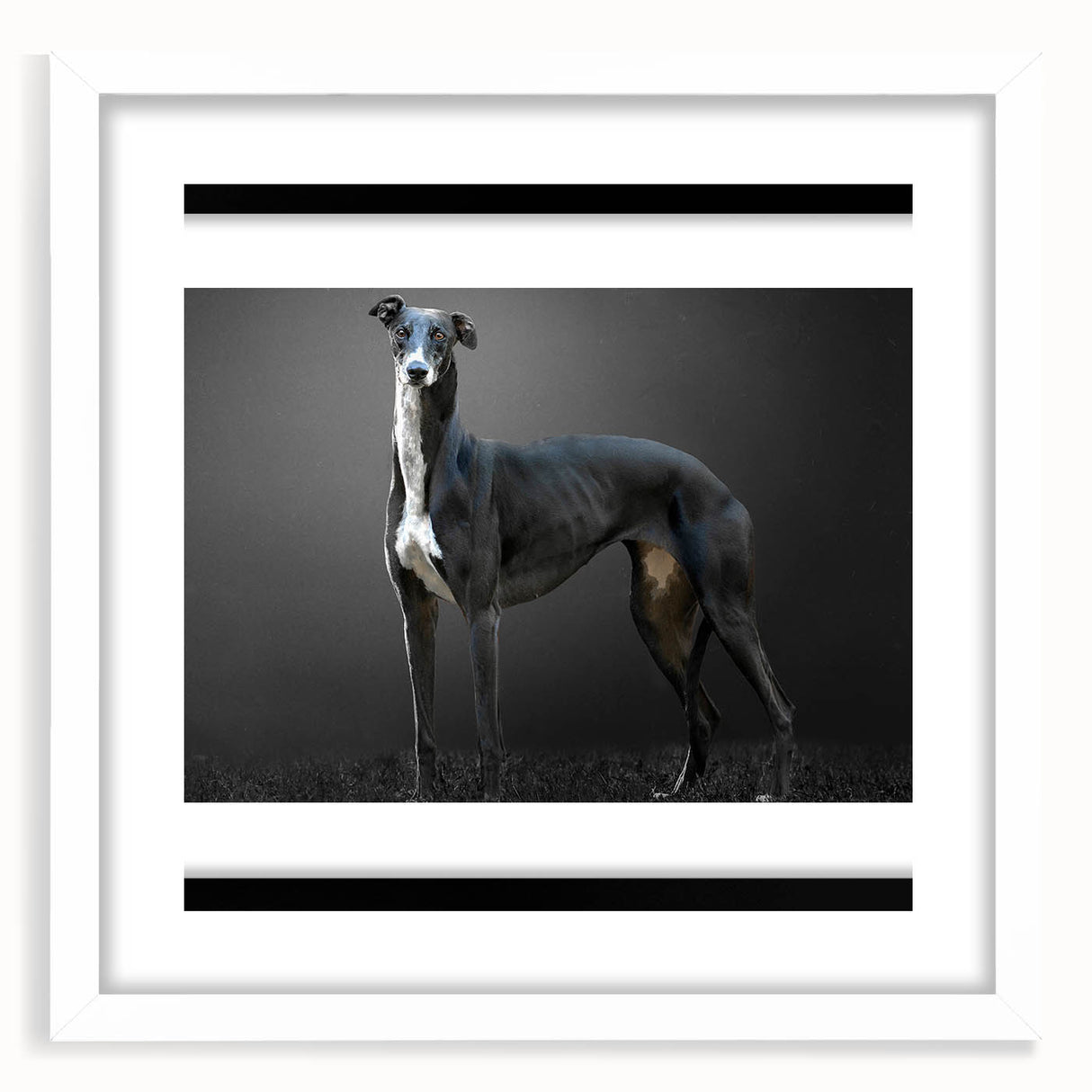 Wall art collection featuring a vibrant dogs design in a white frame with a mat, showcasing playful dog illustrations that add a whimsical touch to home decor. Perfect for animal lovers and modern interiors.