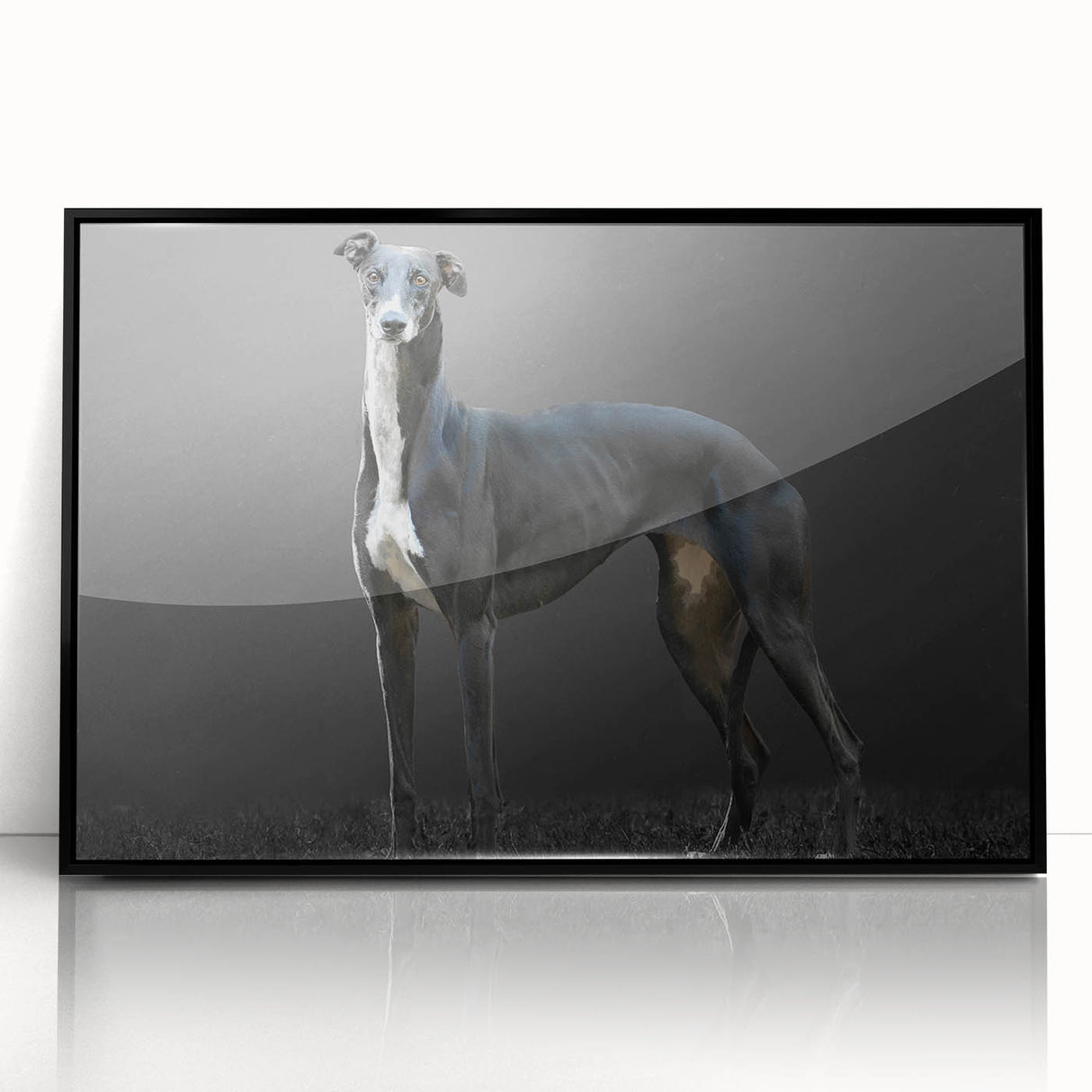 Framed wall art collection featuring a vibrant dog design on a black background, showcasing the playful nature of canines in an acrylic format, ideal for animal lovers.
