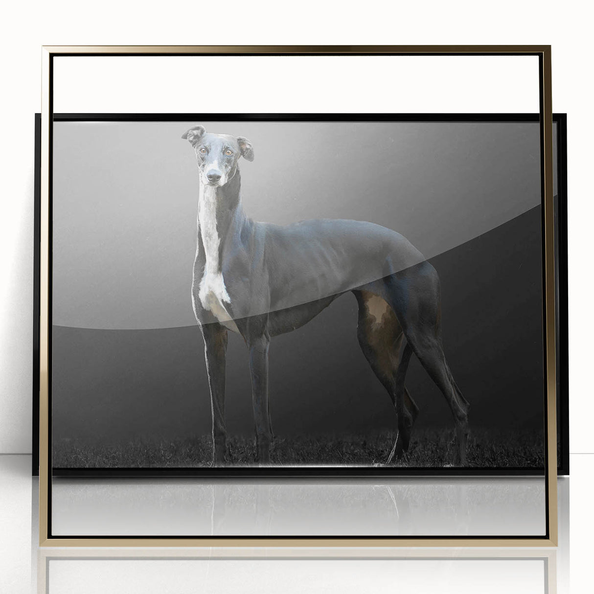 Framed wall art collection showcasing a vibrant dog design, featuring acrylic glass with a gold frame, perfect for animal lovers and modern decor.