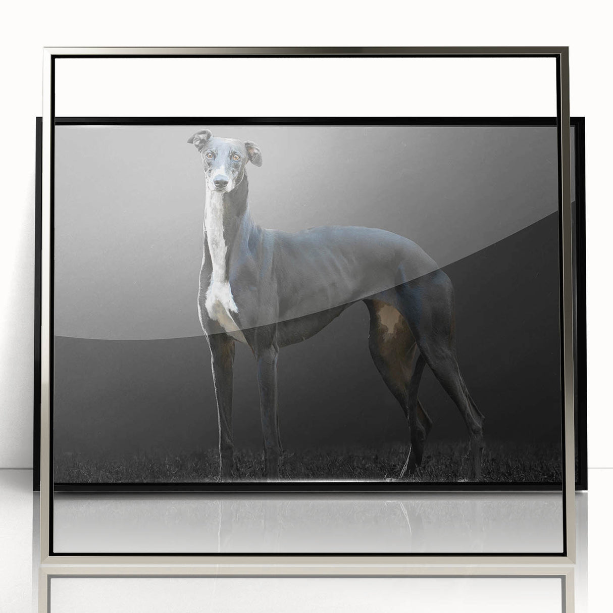 Framed acrylic wall art featuring a contemporary dog design with a silver frame, showcasing vibrant colors and intricate details, ideal for animal lovers' decor.