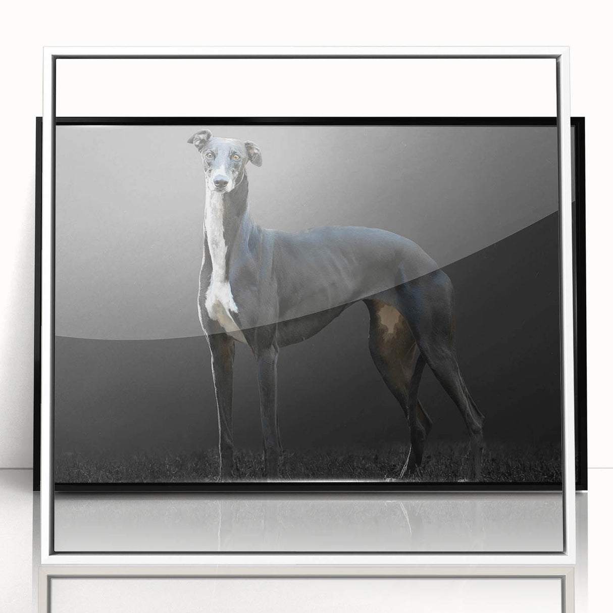 Framed wall art collection showcasing a vibrant dog-themed design with playful colors on an acrylic surface, set against a sleek white background. Perfect for animal lovers and home decor enthusiasts.