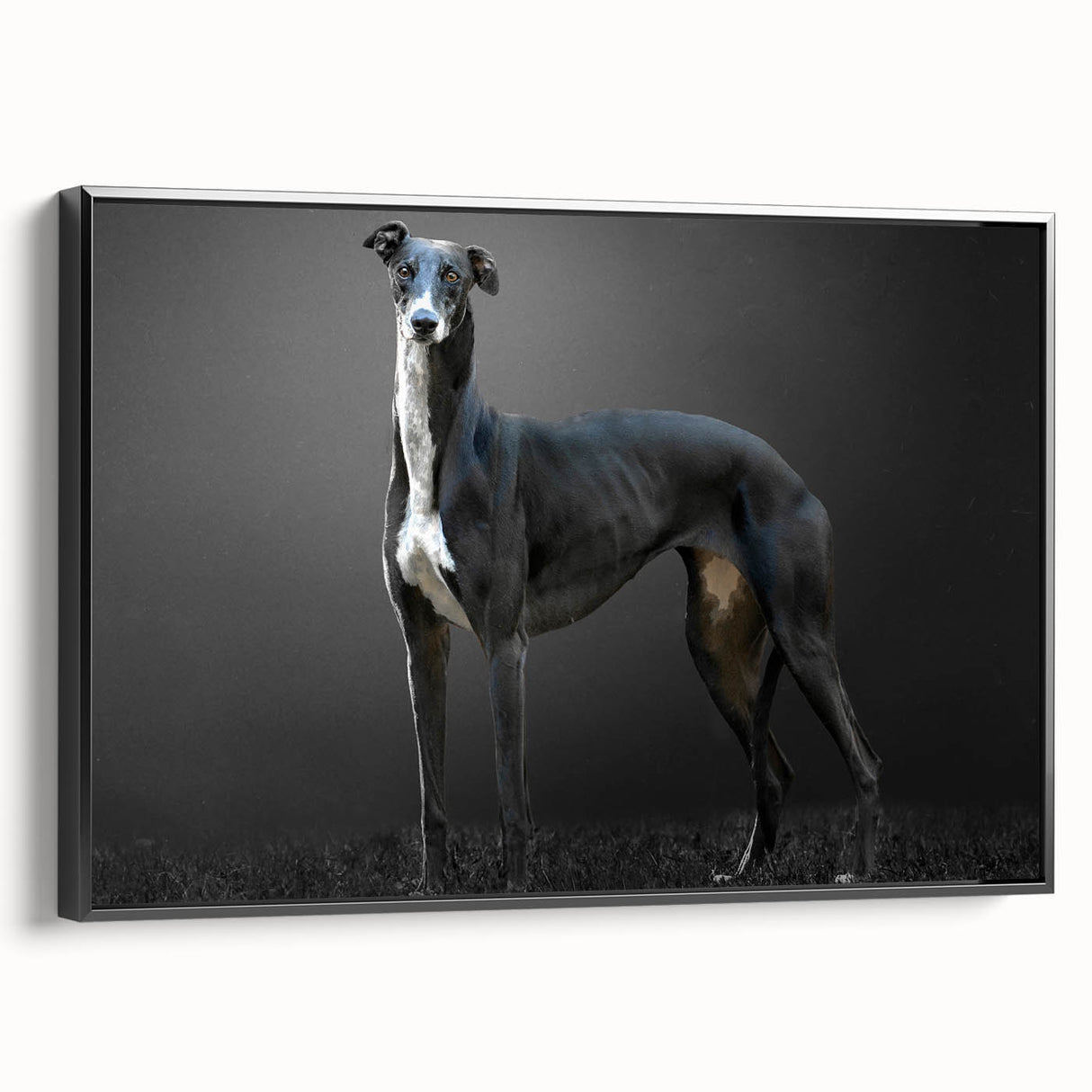 Framed canvas wall art collection featuring a wild dog design, showcasing detailed illustrations in vibrant colors against a black background, perfect for animal lovers.