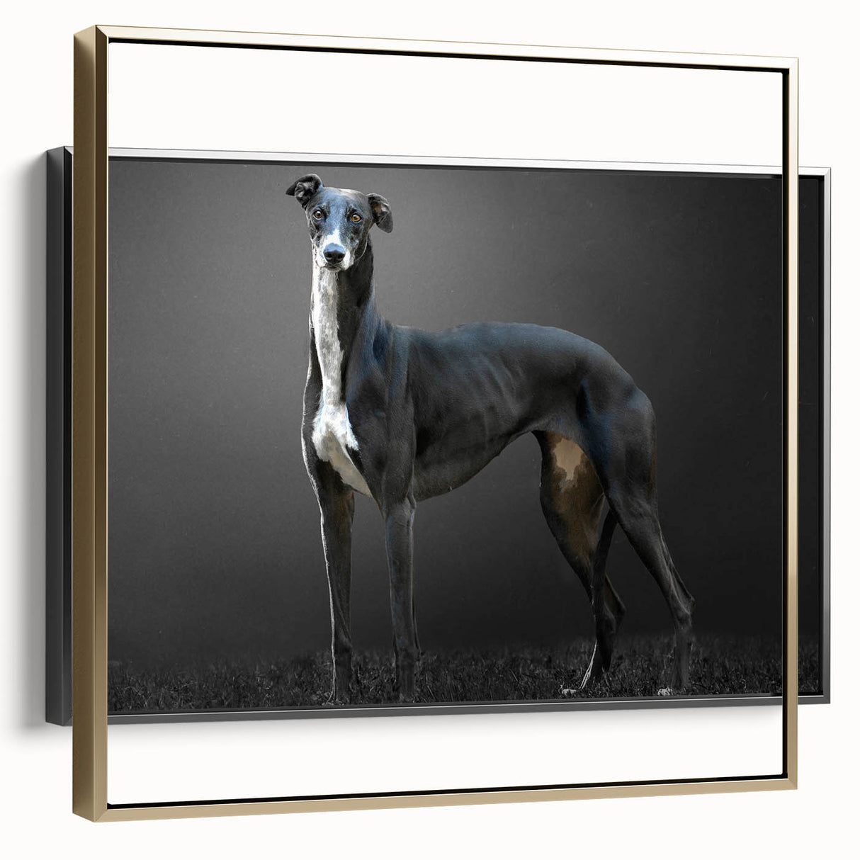 Framed wall art showcasing a vibrant dog design from the Animals A Wild Life collection, featuring a gold frame, perfect for animal lovers' home decor.