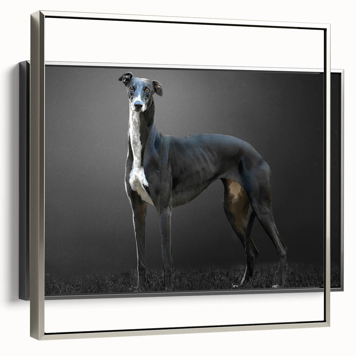 Framed canvas wall art featuring a stylized silver design of various dog breeds, showcasing intricate details and a modern aesthetic, ideal for animal lovers' decor.