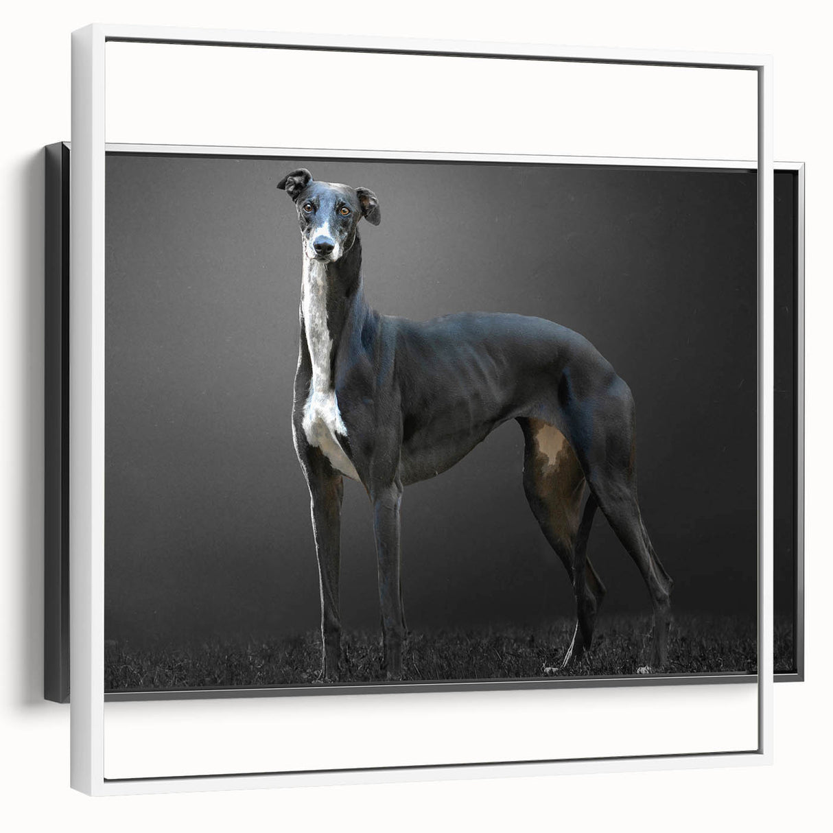 Framed wall art collection showcasing a vibrant dog-themed design on a white canvas, perfect for animal lovers and home decor enthusiasts, side view display.