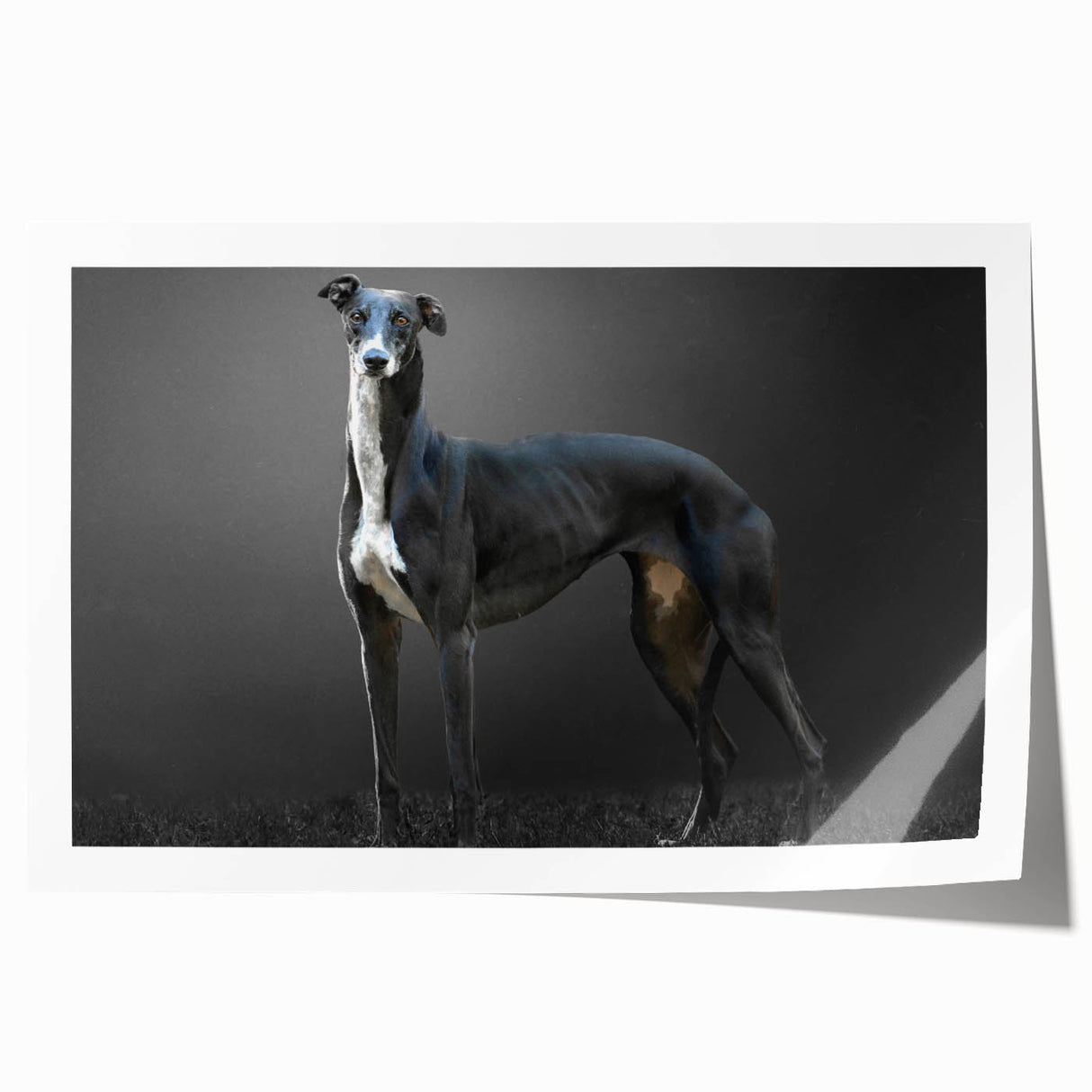 Colorful wall art print featuring a playful design of various dog breeds against a vibrant backdrop, ideal for pet lovers and home decor enthusiasts.
