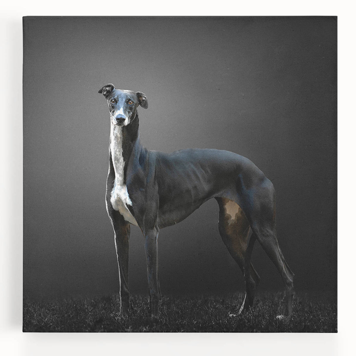 Stretched canvas wall art featuring a vibrant collection of wild dog designs, showcasing realistic fur textures and expressive poses, perfect for animal lovers' decor.