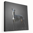 Stretched canvas wall art collection featuring a side view of playful dogs in a vibrant, colorful design, ideal for animal lovers and home decor enthusiasts.
