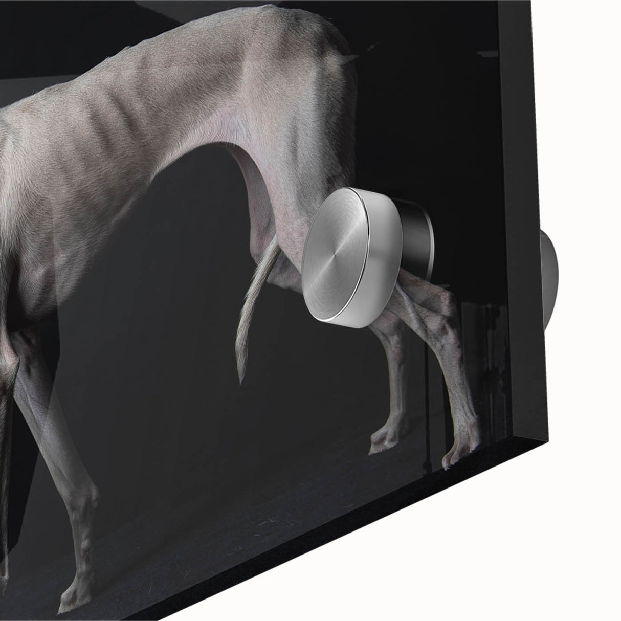 Close-up of a vibrant acrylic wall art piece showcasing playful dogs in a wild setting, perfect for animal lovers and home decor enthusiasts.
