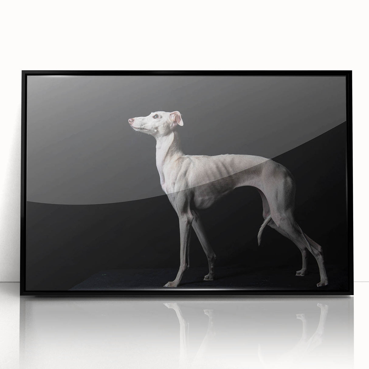 Framed acrylic wall art featuring a vibrant design of wild dogs, set against a sleek black frame, perfect for adding a modern touch to home decor.