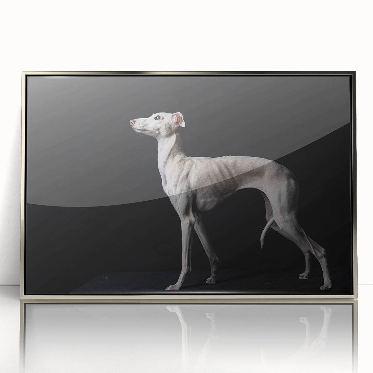 Framed wall art collection showcasing a vibrant design of various dog breeds, featuring a sleek silver frame that enhances the colorful artwork, perfect for animal lovers.