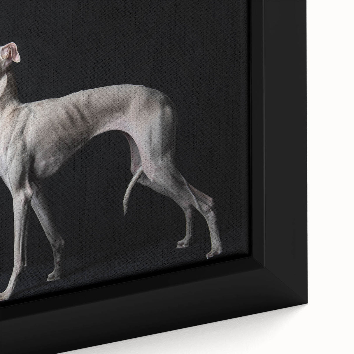 Framed canvas wall art showcasing a close-up of a vibrant dog design, perfect for animal lovers, featuring bold colors and intricate details. Ideal for home decor.