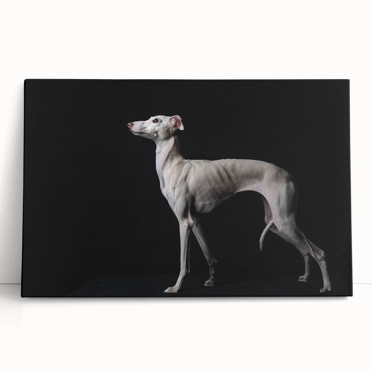 Stretched canvas wall art featuring a vibrant design of playful dogs in a wild setting, perfect for animal lovers looking to enhance home decor.