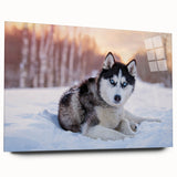 Acrylic glass wall art showcasing a side view of a vibrant dogs design from the Animals A Wild Life collection, ideal for modern decor and pet lovers.