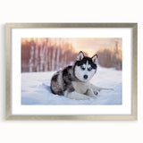 Framed wall art collection featuring a design of playful dogs in a wild setting, set in a sleek silver frame with a mat, ideal for animal lovers' decor.