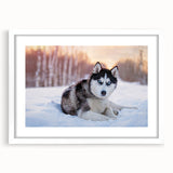 Framed wall art collection featuring eight vibrant dog illustrations in a stylish white mat, perfect for animal lovers and home decor enthusiasts.