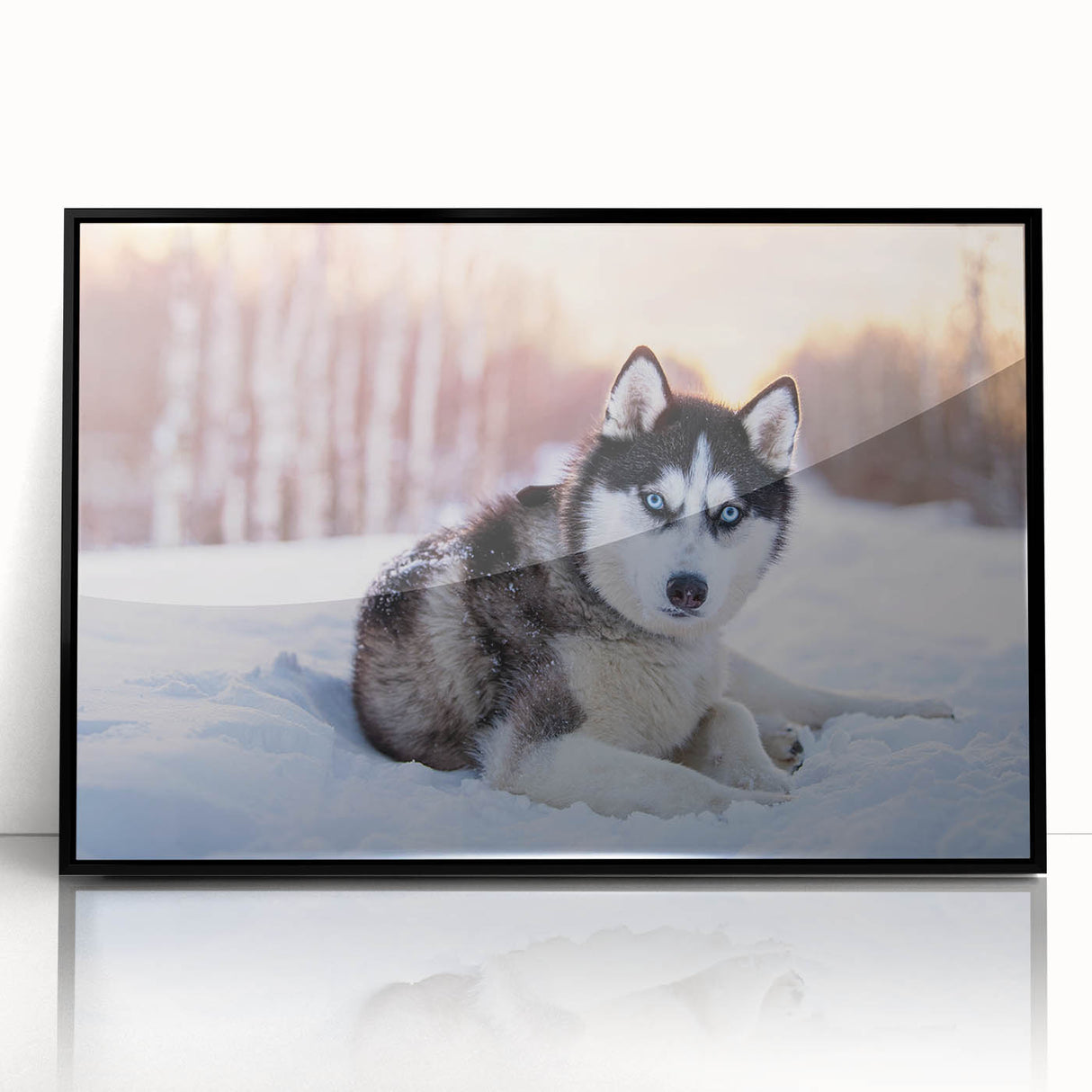 Framed wall art featuring a stunning collection of wild dog designs in vibrant colors, set against a sleek black frame, ideal for animal lovers’ home decor.