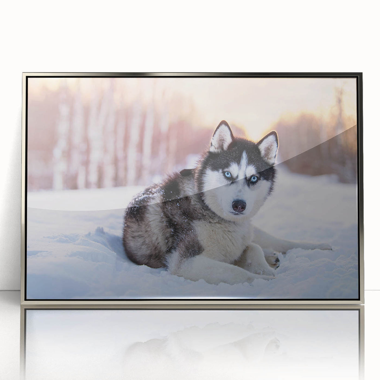 Framed wall art collection titled "Dogs Design 8," showcasing beautifully illustrated dogs in vibrant colors, set in a sleek silver frame, ideal for animal lovers.