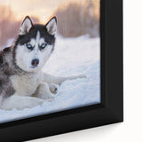 Close-up of a framed wall art collection featuring a vibrant dogs design on canvas, showcasing detailed animal illustrations in bold colors, perfect for pet lovers' decor.