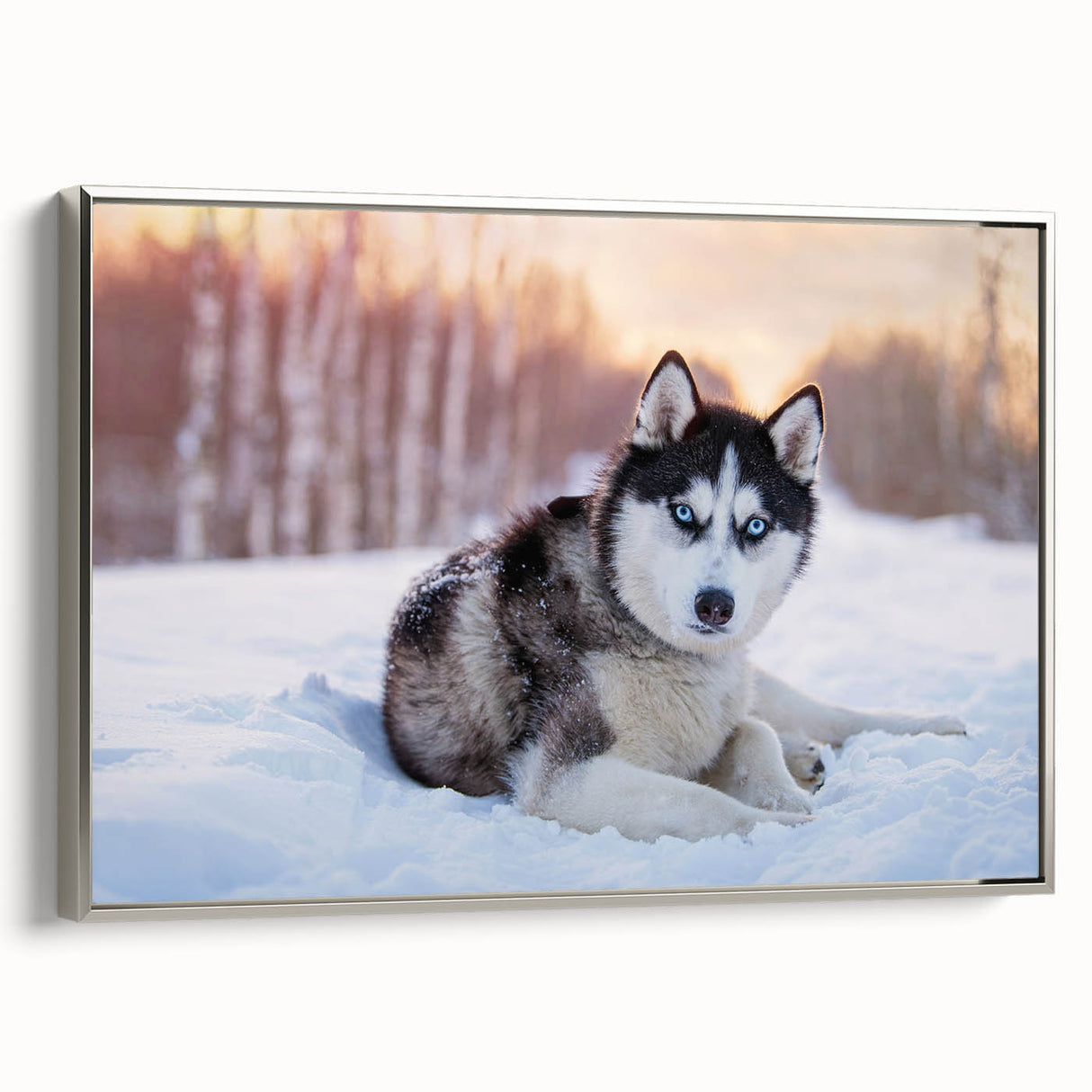 Framed canvas wall art showcasing a collection of playful dogs in a vibrant animal design, featuring a sleek silver frame, perfect for pet lovers' decor.
